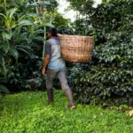 The Government of De la Espriella begins to dismantle a protection for one million hectares of agricultural land