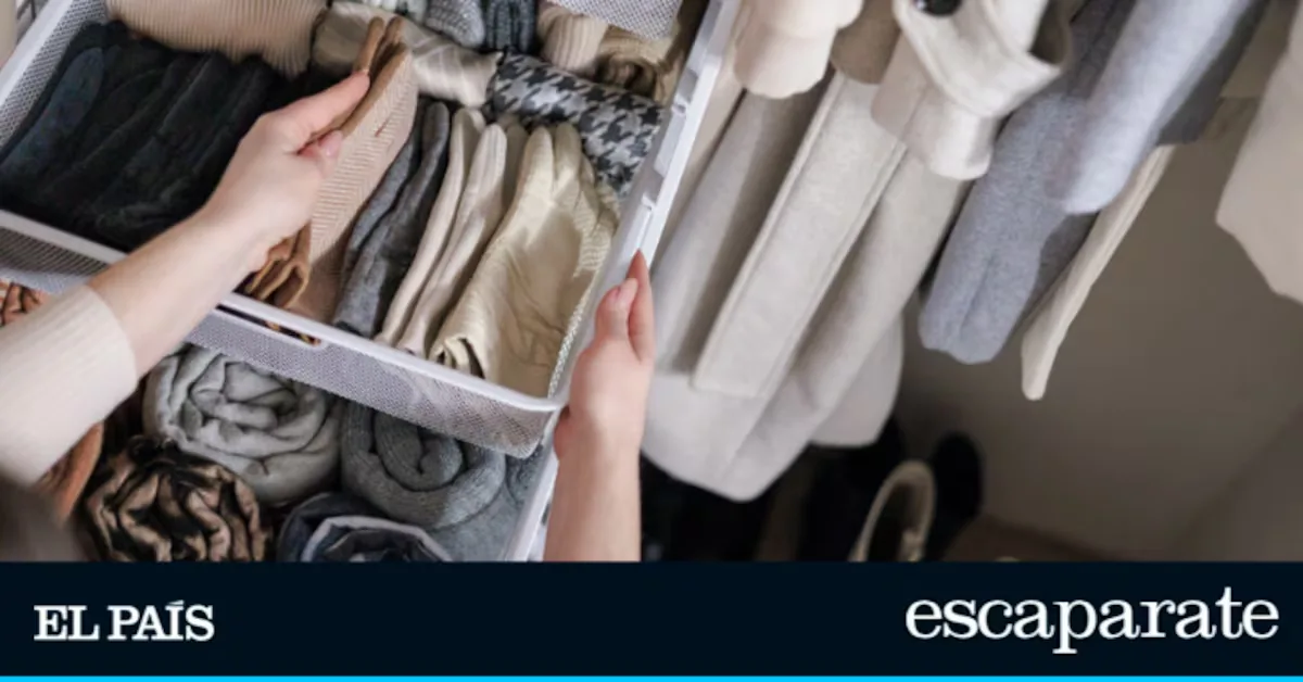 Prepare the wardrobe change without chaos: the invention of 3 modules that doubles the space and keeps order