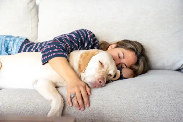 Benefits and risks of sleeping with your pet: from the feeling of security to the loss of sleep quality