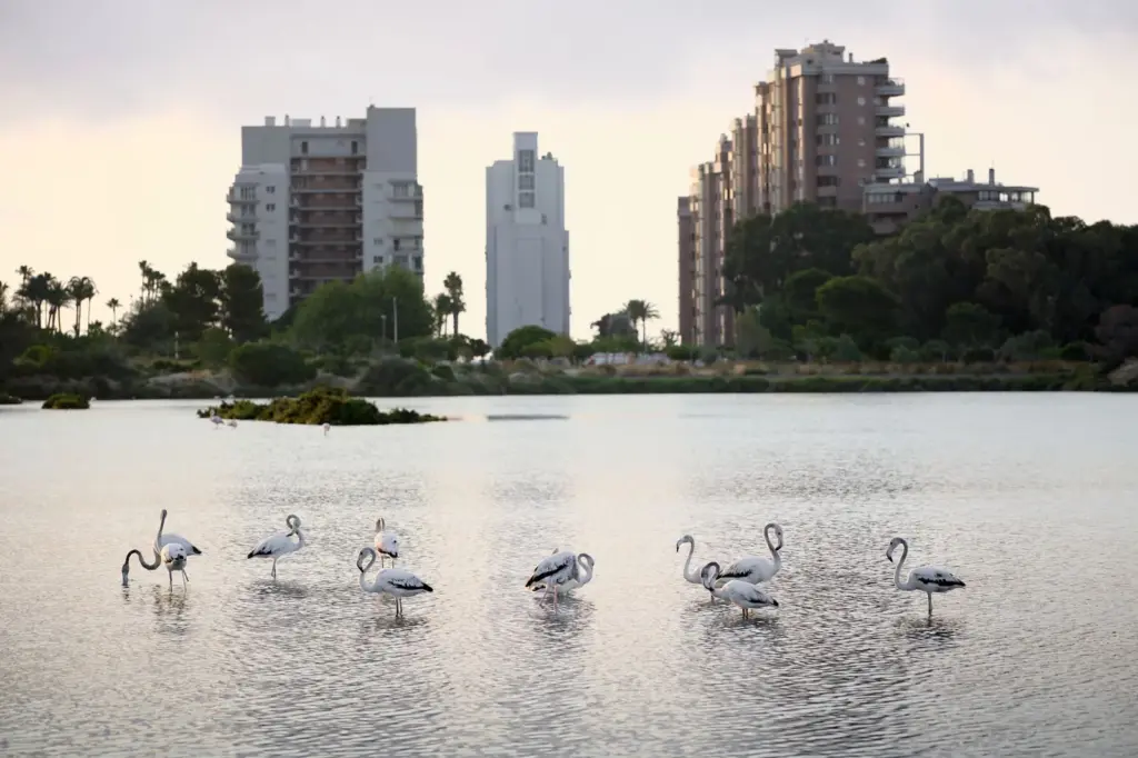 Calpe, renewing itself in the shadow of the Peñón