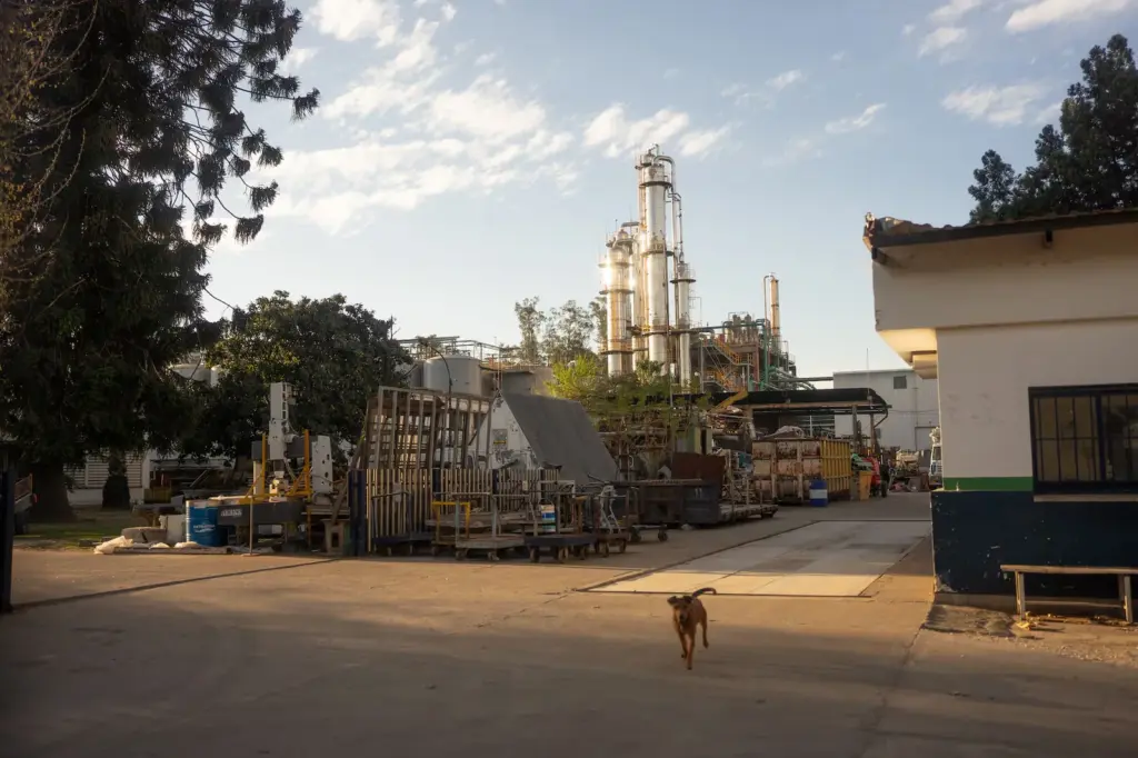 The complaint from neighbors against a bioethanol factory reaches the IACHR: "We live in fear of what we breathe"
