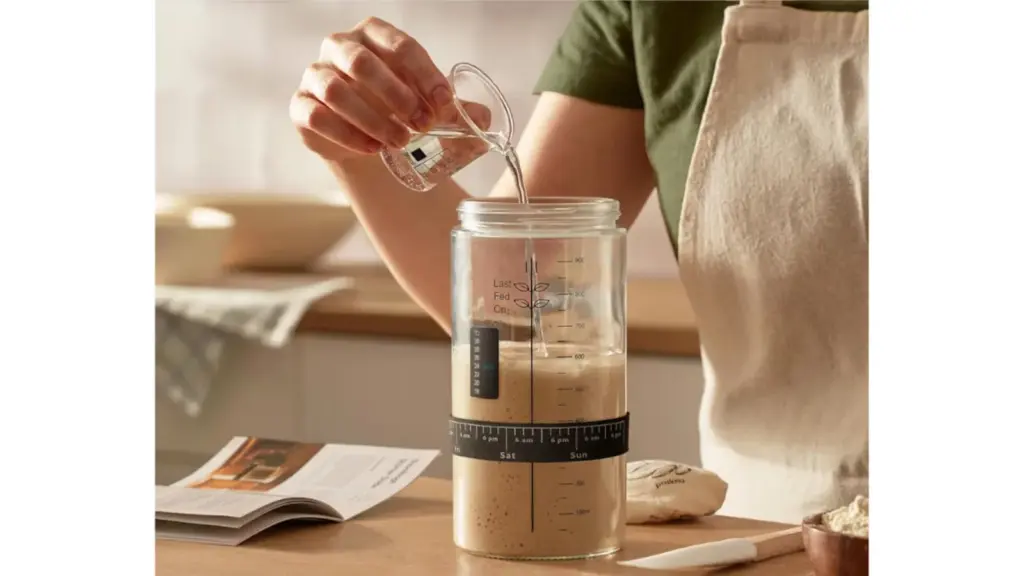 Kit para hacer masa madre septiembre 26 cuerpo 3