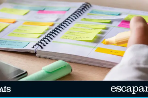 The highlighter set with a stand that keeps your desk always tidy