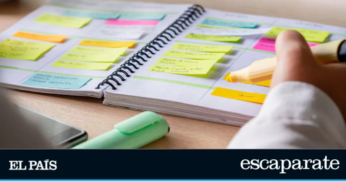 The highlighter set with a stand that keeps your desk always tidy